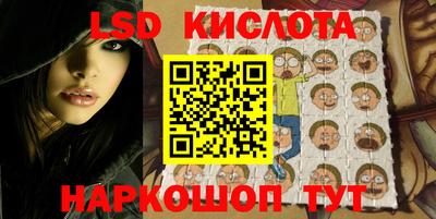 шишки Ставрополь