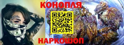 шишки Ставрополь