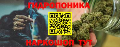 шишки Ставрополь